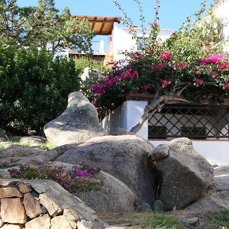 Residence Con Piscina A Liscia Di Vacca, 350 Mt Dal Mare, 3 Km Da Porto Cervo Kültér fotó